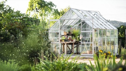 jardines invierno